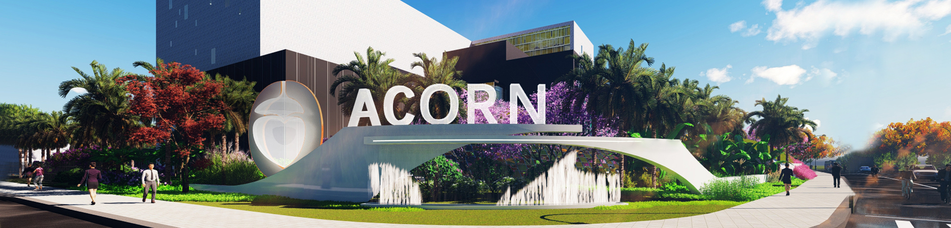 About Acorn