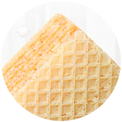 Wafer Biscuit
